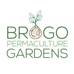 Brogo Permaculture Gardens